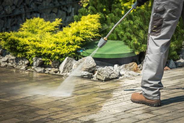 Best Sidewalk and Walkway Cleaning  in Parker City, IN